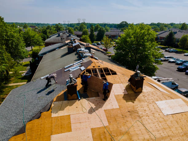 24/7 Emergency Metal Roofing experts in Allardt, TN
